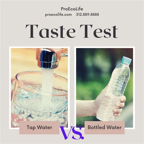 Tap vs. Bottled Water: A Middlesex Taste Test